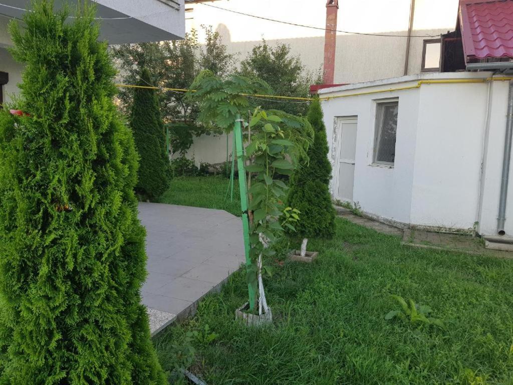 Vila Orizont Venus Kültér fotó
